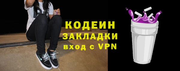apvp Вяземский