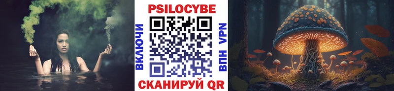 Псилоцибиновые грибы Cubensis Емва