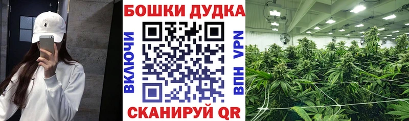 Каннабис OG Kush  кракен зеркало  Емва  как найти  